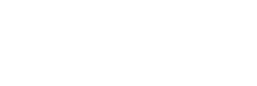 Drive Intelligence logo